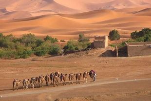 Single rondreis Marokko
