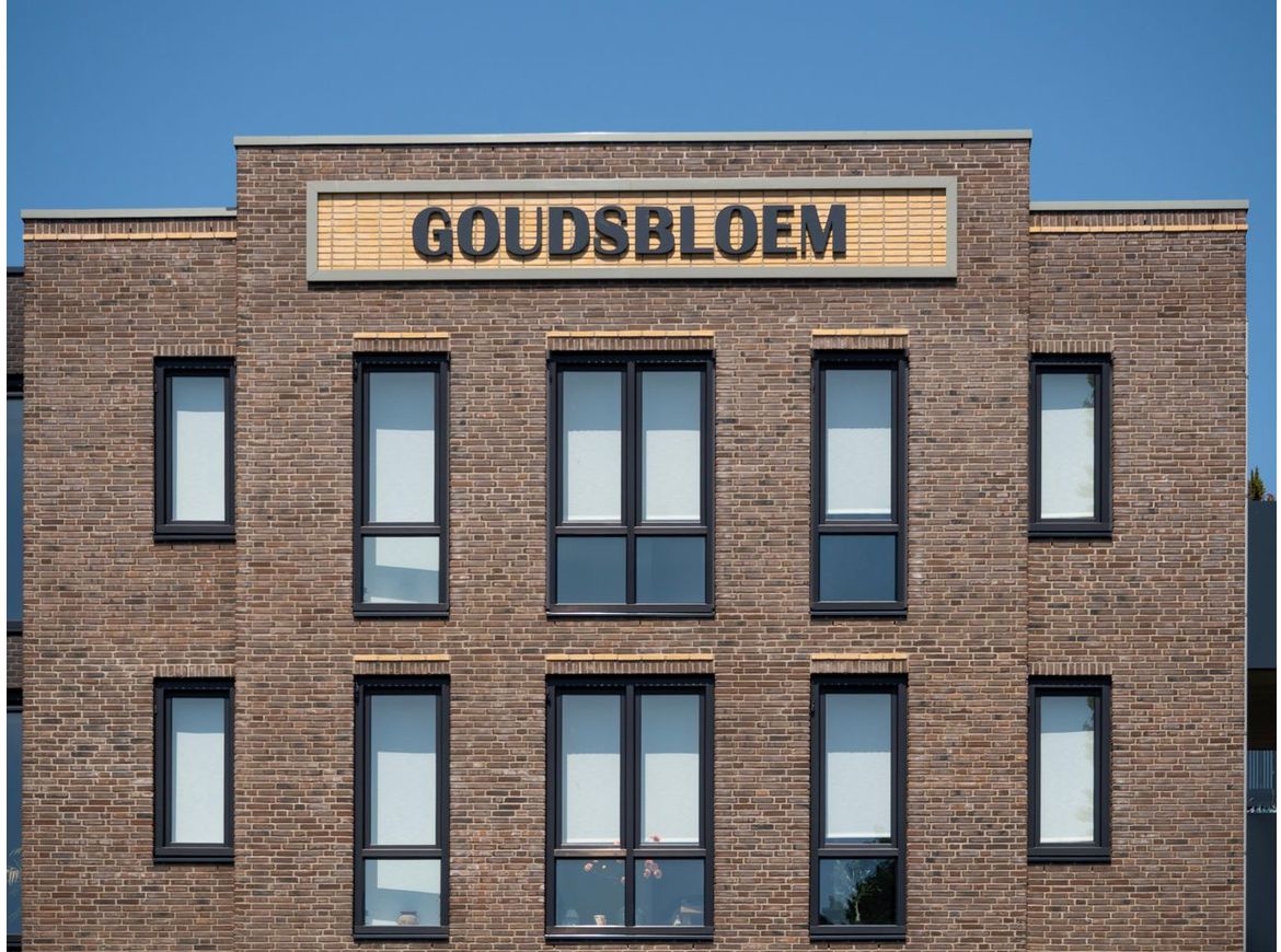 Goudsbloem