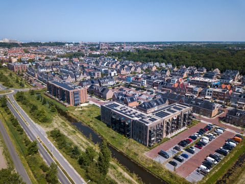 Goudsbloem