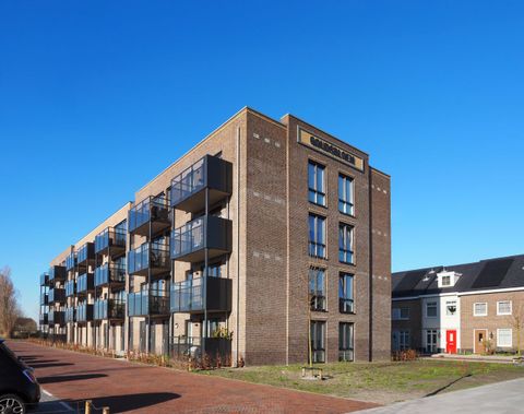 Goudsbloem