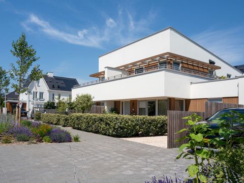 Kruishoorn Lisse