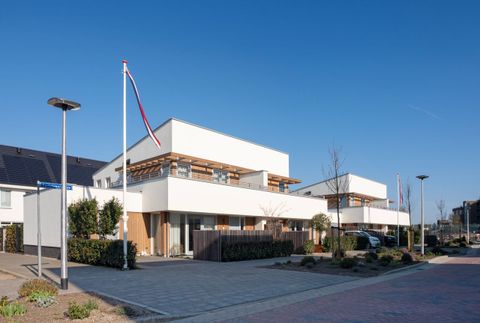 Kruishoorn Lisse