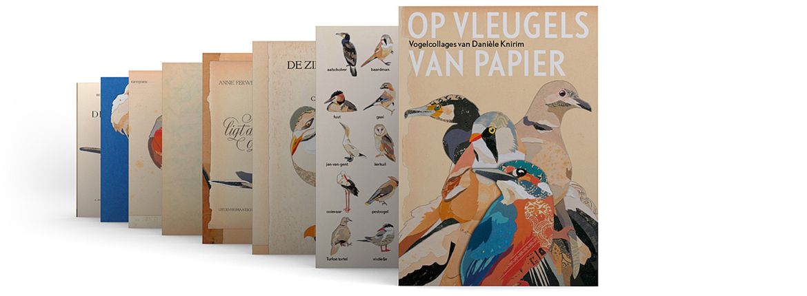 Op vleugels van papier