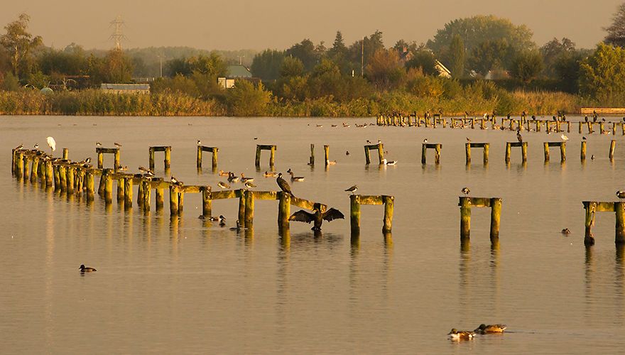 Starrevaartplas / Hans Peeters