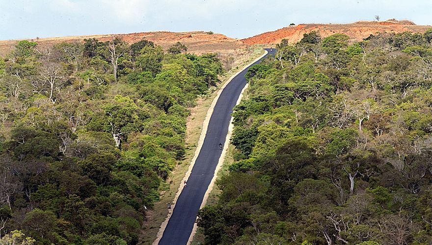 Snelweg door National park Zombitse Vohobasia, Madagaskar / Marc Guyt AGAMI