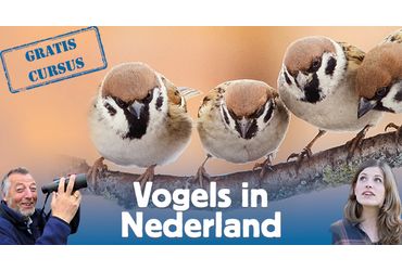 Aanmelden Vogelcursus