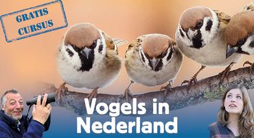Aanmelden Vogelcursus