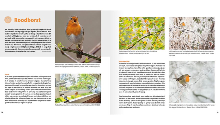 Spread Handboek Vogelfotografie