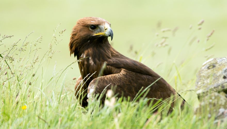 Steenarend / Shutterstock