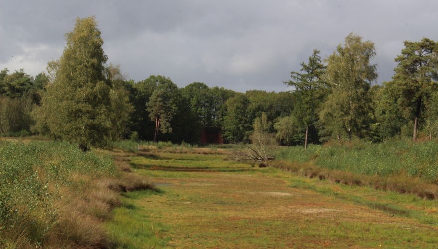 Ven na langdurige droogte / Marc Scheurkogel