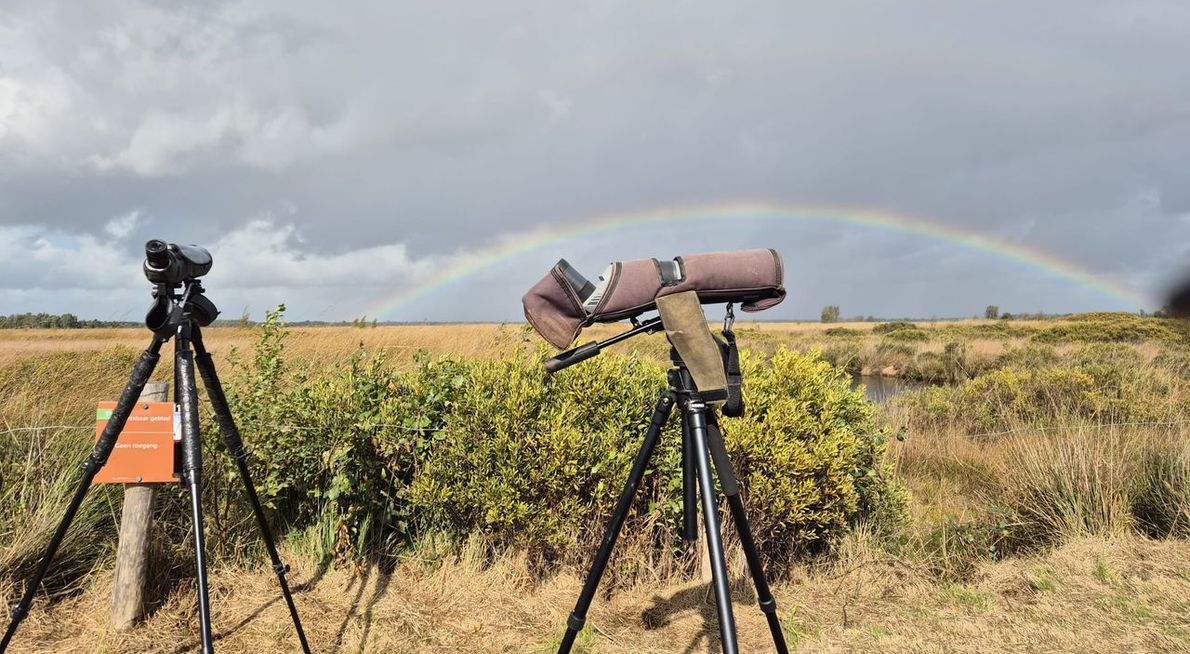 Telpost Engbertsdijksvenen / Tom Kruissink