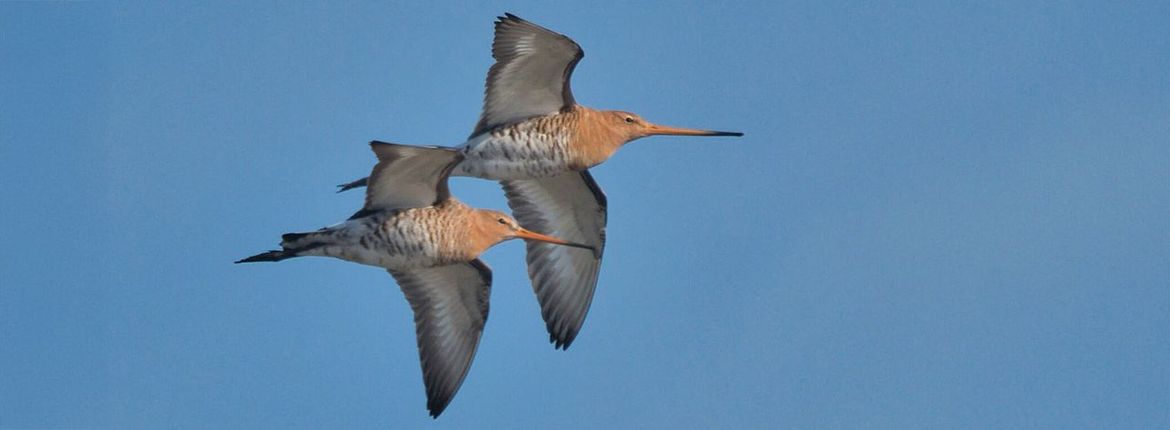 Grutto / Nancy Folten, Fotogalerij