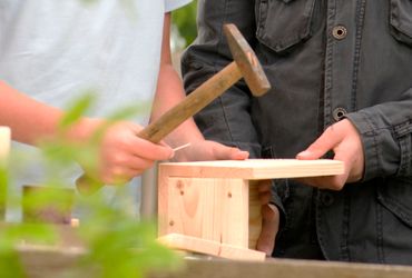 Zelfbouwpakket nestkast