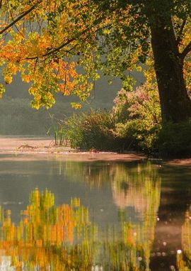 Basiskwaliteit natuur Utrecht