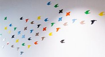 Erezwerm Vogelbescherming / Martin Hierck