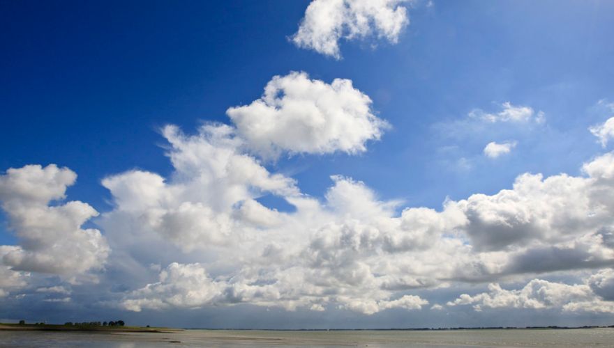 Westerschelde / Agami