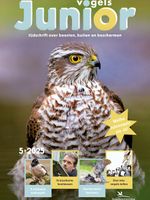 Cover Vogels Junior 5/2025