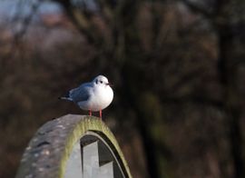 Ik zit hier lekker te dutten.