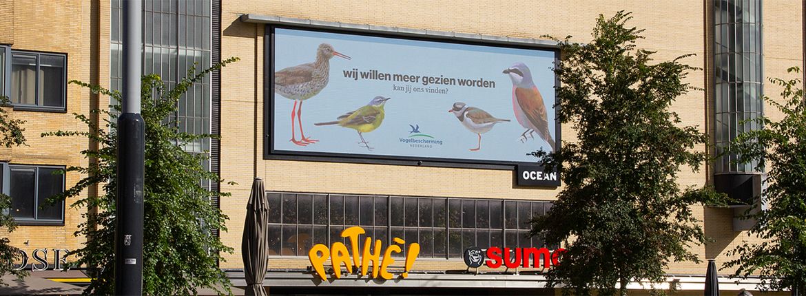 Campagne Vogels voorstellen