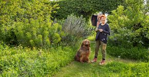 Rijo Meulbroek / Fred van Diem