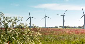 Windmolens Gaasterland / Shutterstock