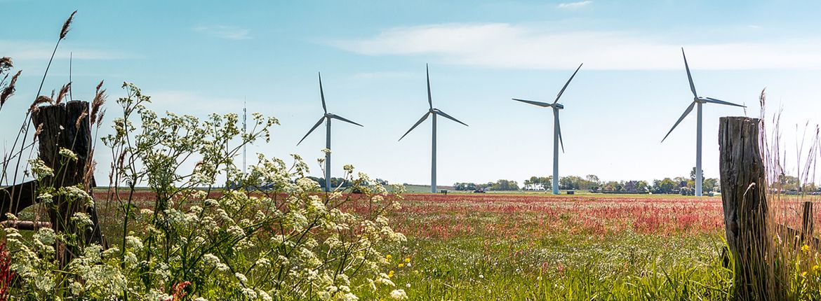 Windmolens Gaasterland / Shutterstock