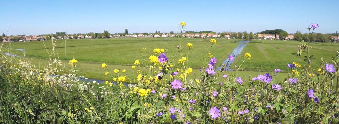 Videostill Wilmkebreekpolder