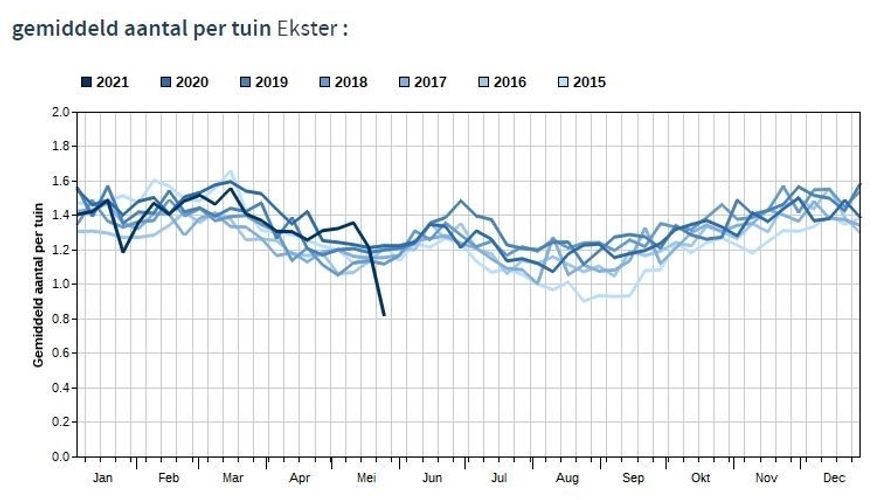 Grafiek eksters in tuin