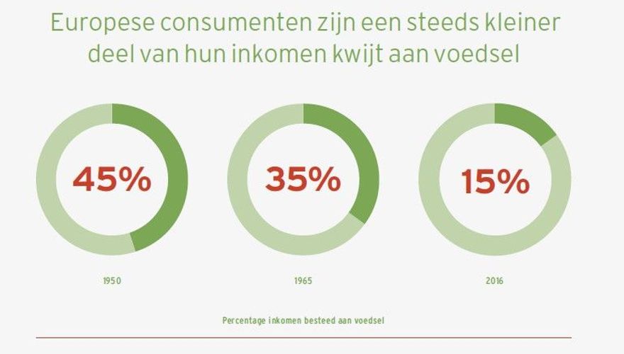 Infographic slimme vogels