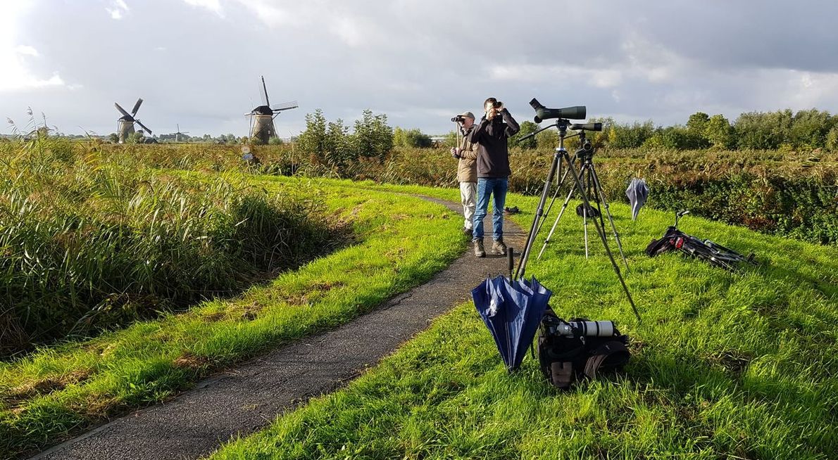 Telpost Kinderdijk/ Bastiaan van de Wetering