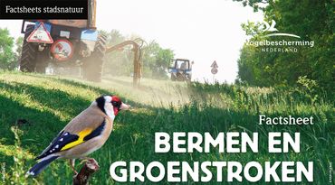 Download factsheet bermen en groenstroken