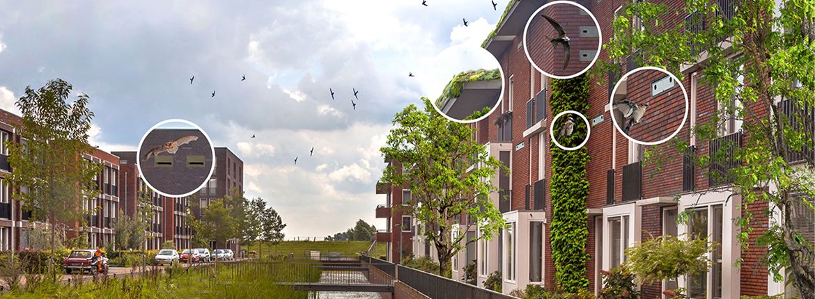 Checklist natuurinclusief bouwen / vormgeefster Sonja Kamer