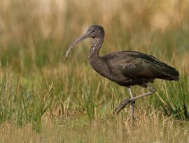 Even op kracht komen