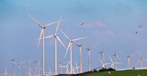 Windturbines met trekvogels / Shutterstock