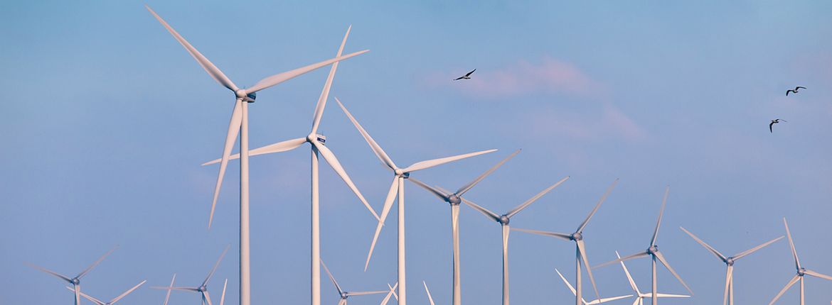 Windturbines met trekvogels / Shutterstock