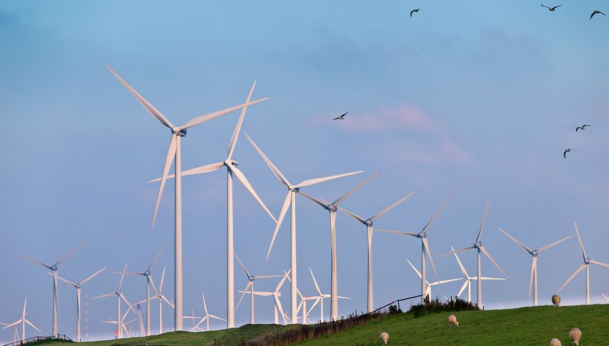 Windturbines met trekvogels / Shutterstock