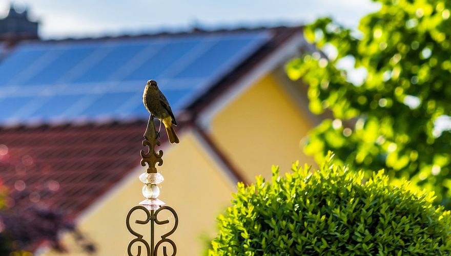 Zonnepanelen / Shutterstock