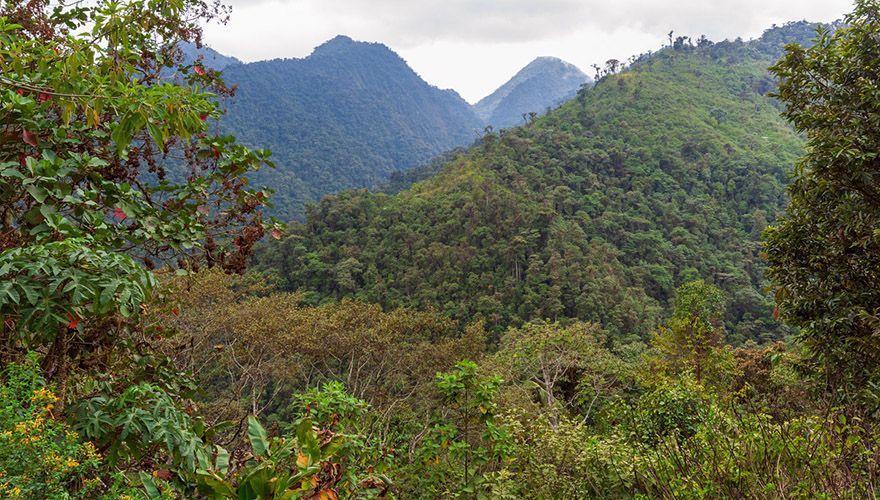 Tandayapa valley / Marc Guyt, AGAMI