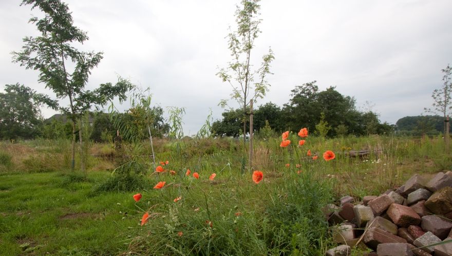 Puinhoop tuin Anna Kemp / Jouke Altenburg