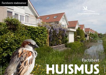 Download factsheet huismus