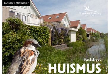 Download factsheet huismus