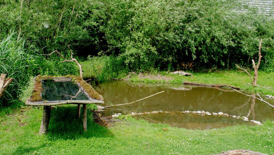 Fotohut Alblasserwaard / Hans Peeters