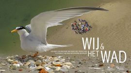 Poster Wij&hetWad / Vogelbescherming