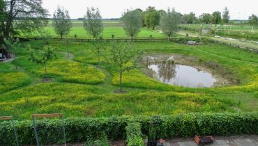 Tuin / Carina Cuypers