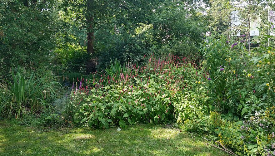 Tuin Vogelbescherming / Marc Scheurkogel