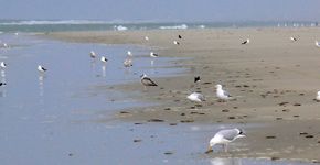 Terschelling / Hans Peeters