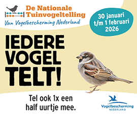 Banner Tuinvogeltelling 2026