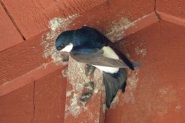 Een fundament leggen