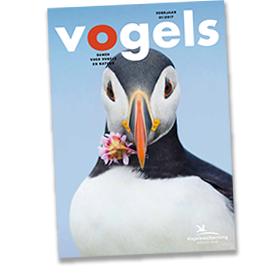 Cover tijdschrift Vogels