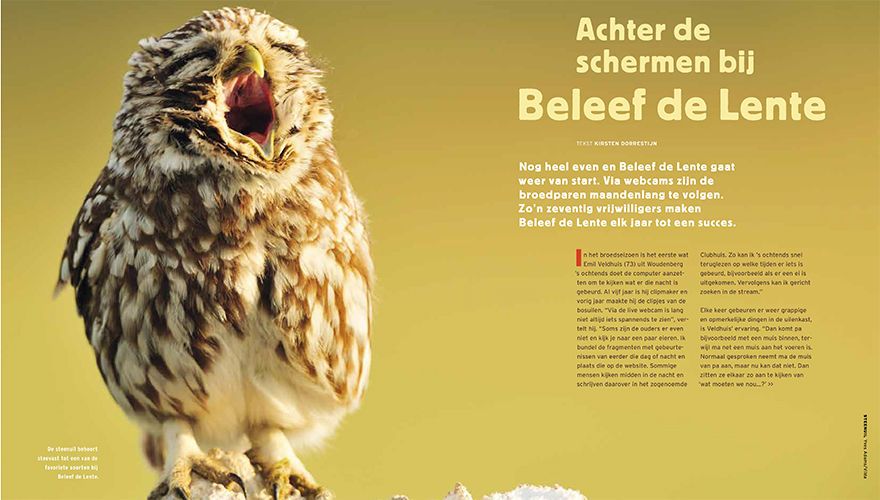 Spread beleefdelente - Vogels1701